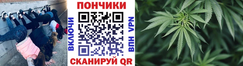 Где найти наркотики Кузнецк Alpha PVP  Мефедрон  Кокаин  ГАШИШ  Каннабис 