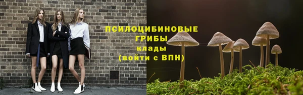 дживик Магас