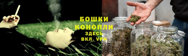 дживик Магас