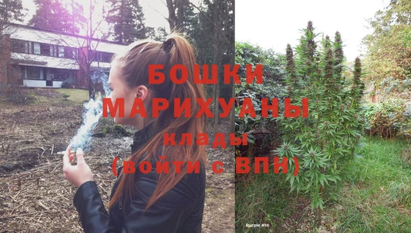 дживик Магас