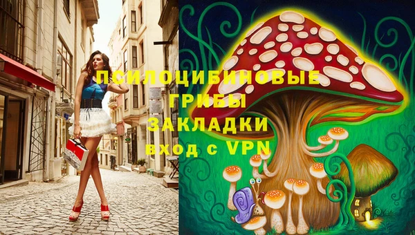 мдпв Майский