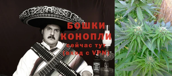 дживик Магас