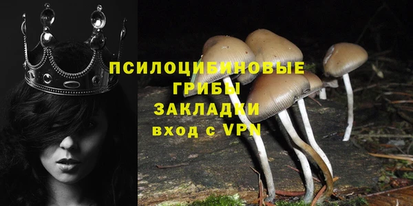 дживик Магас