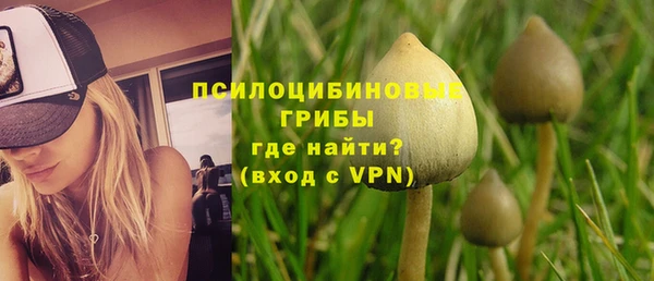 мдпв Майский