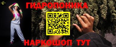 a pvp Кингисепп